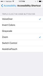 Screen shot of accessibility shortcut options in iOS