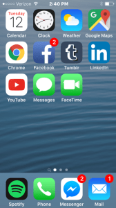 Screen shot of iPhone with bold font