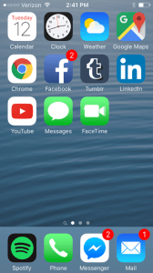 Screen shot of iPhone with regular font